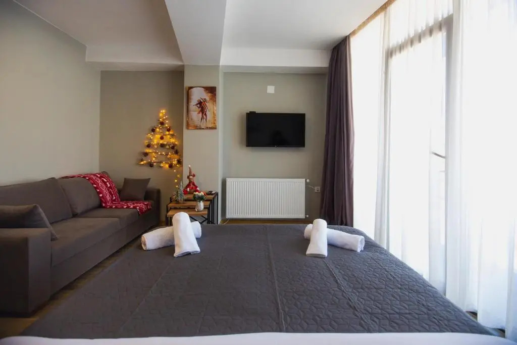 Bakuriani, Didveli Gallery apatment A-307