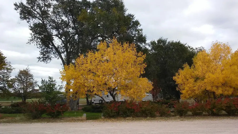 Meadow Park Motel & RV Park