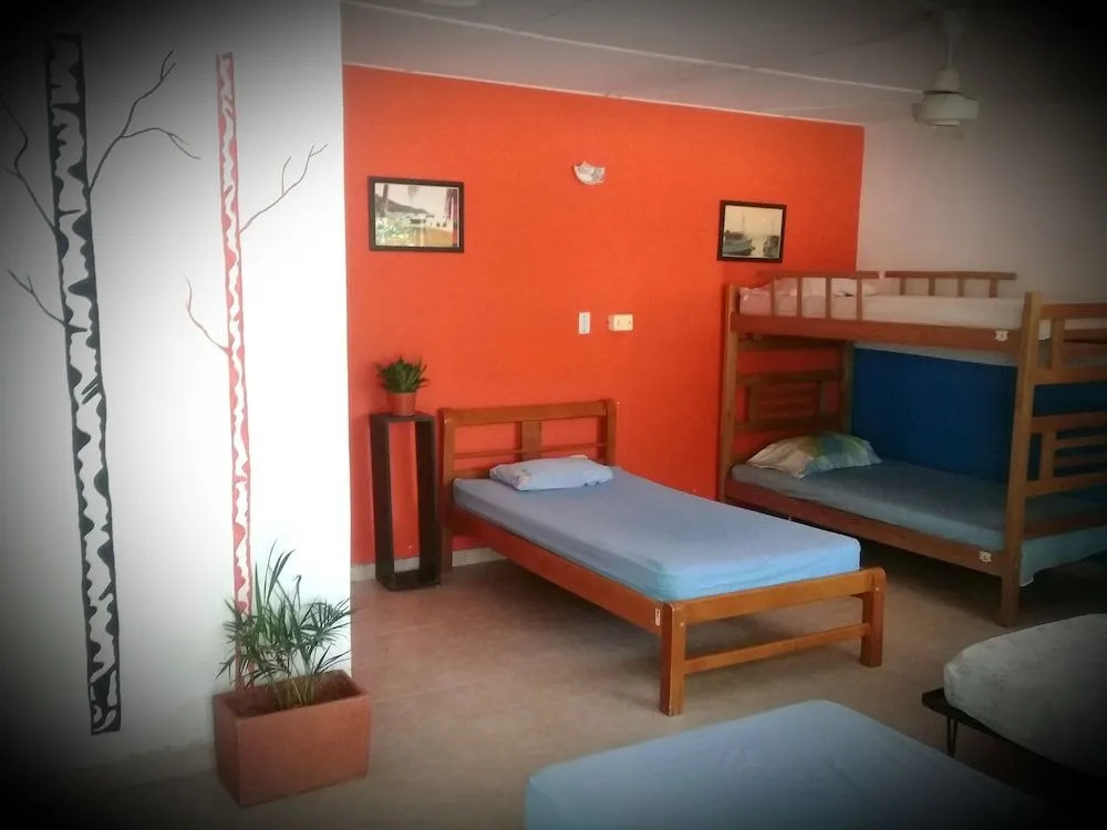 Hostal Garden House