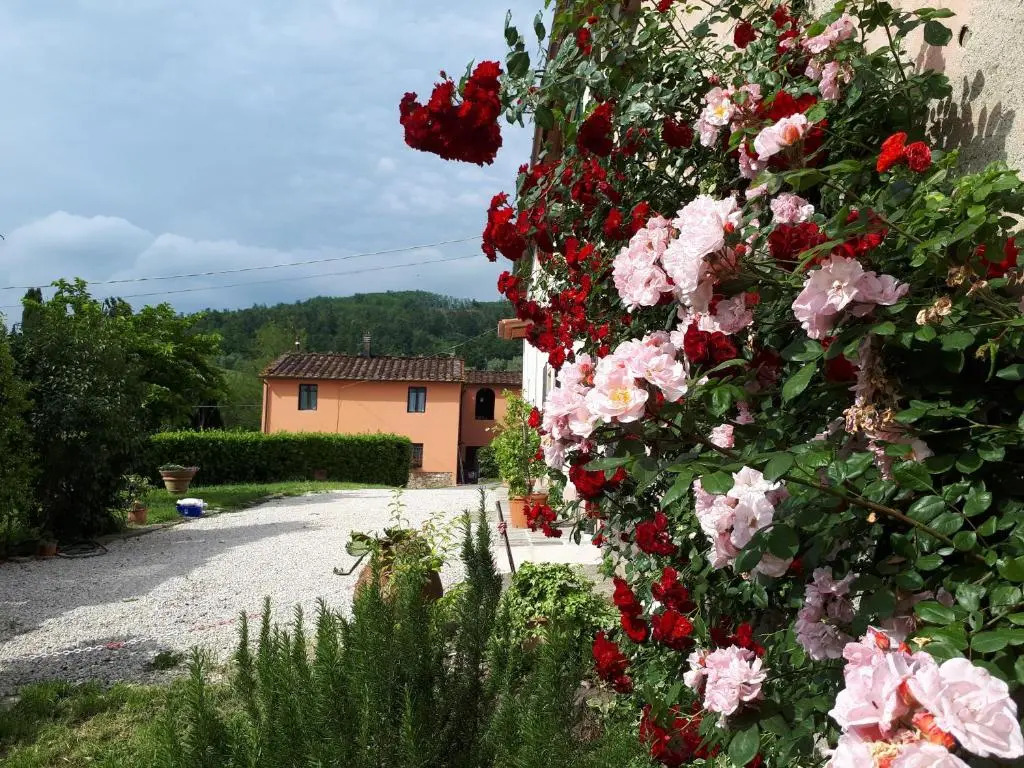 Comfortable Holiday Home in Pistoia With Pool