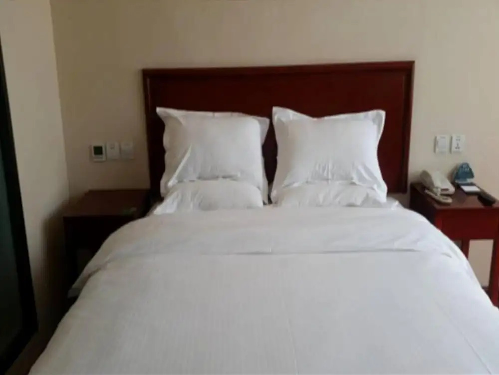 GreenTree Inn TianJin Meijiang Convention and Exhibition Center Express Hotel