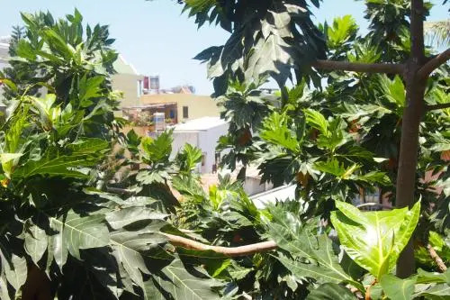 Gecko Hostel