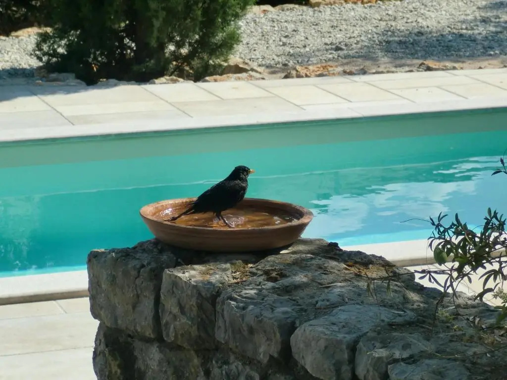 Villa Splendissima Krk