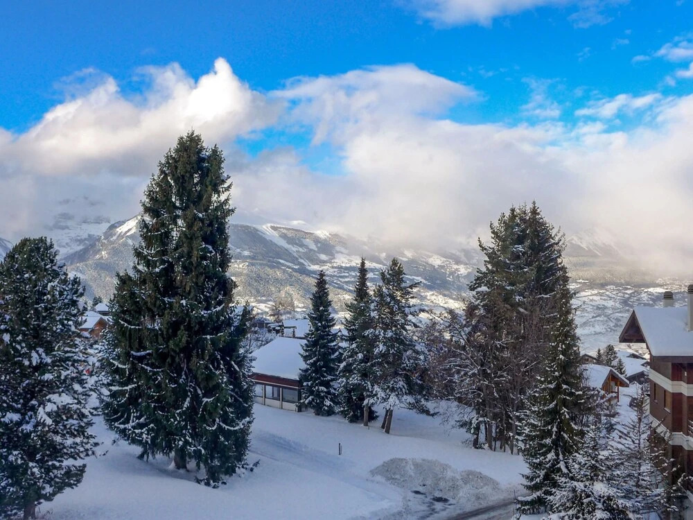 Cimes-blanches A 302 Haute-nendaz