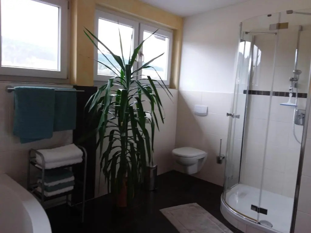 Ferienwohnung Dachs
