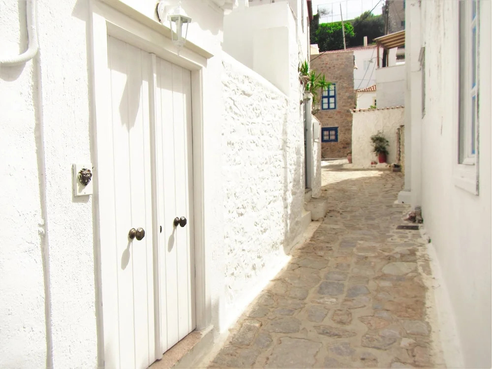 Hydra's Corner