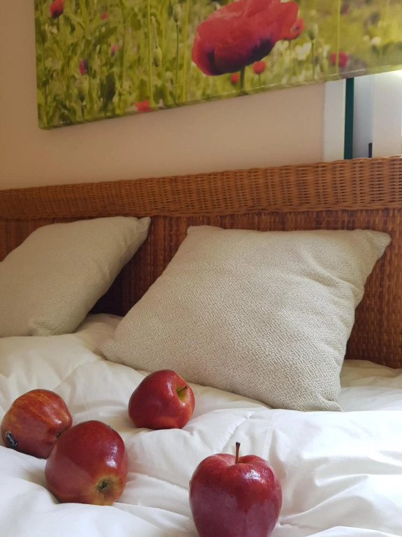 THE POPPIES Suite with Charm 100m Ocean! - Free Welcoming Cava - Smart TV - Mini Bar - Coffee & Tea
