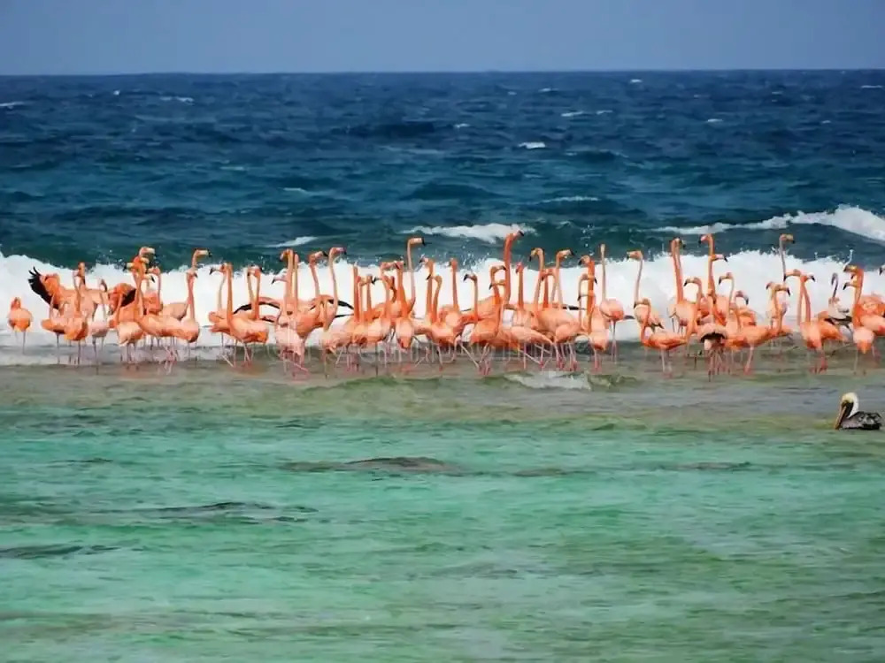 Posada Acuario