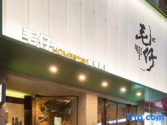 HOMESTAY Homestay Guesthouse (Taoyangli Historical and Cultural Tourism Area)