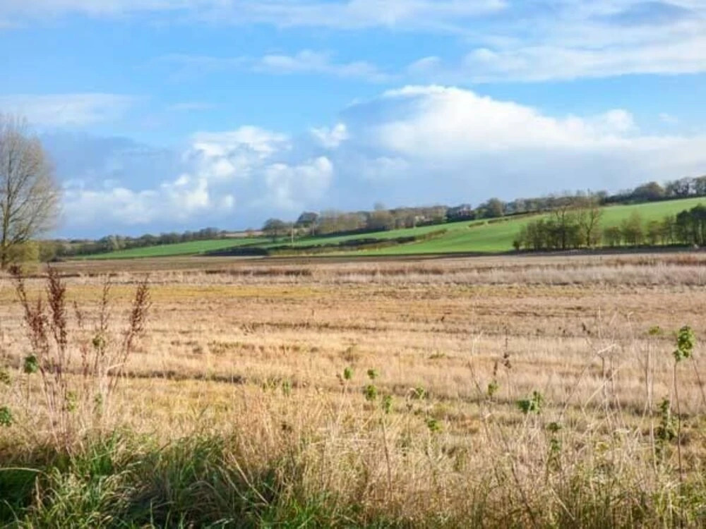 Meadow View