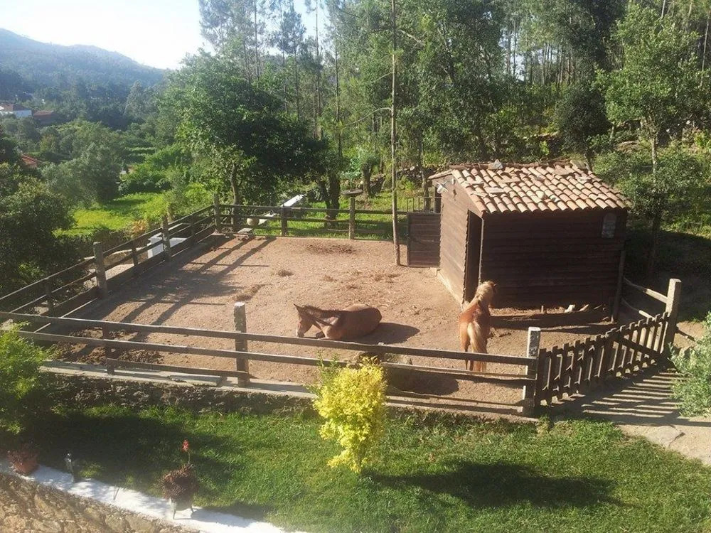 Quintinha D`Arga