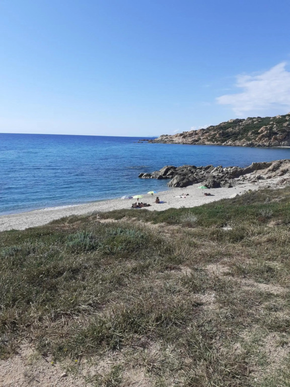agriturismo gli olivastri - casa ginestre con piscina e vista mare