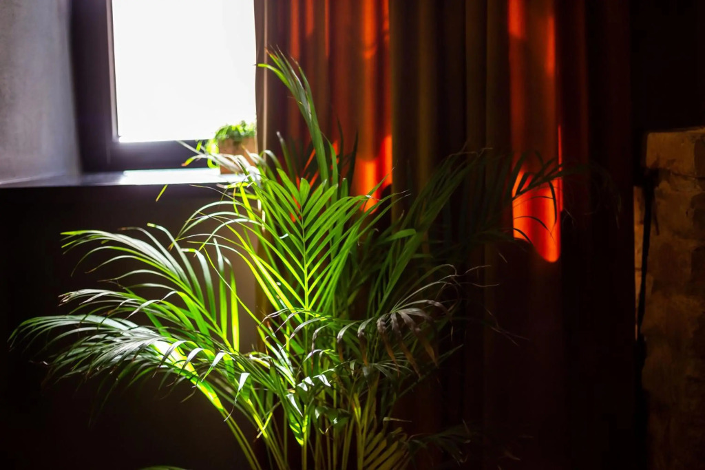 #stayhere - Historic Vilnius Old Town Chic Studio