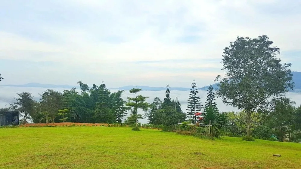Phulikit View