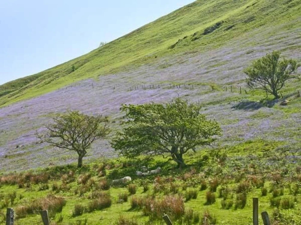 Pen y Bont