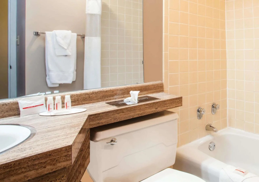Ramada Ithaca