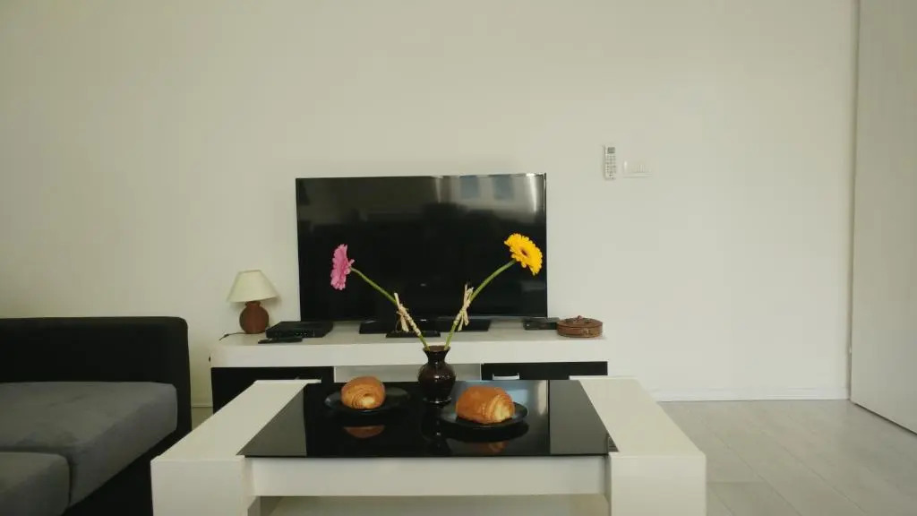 Apartment Vatra