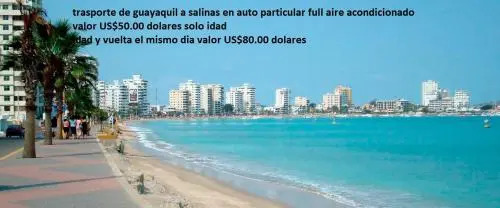 CASA suites el arbolito