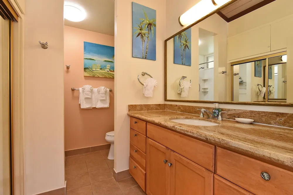 Napili Shores I270 condo