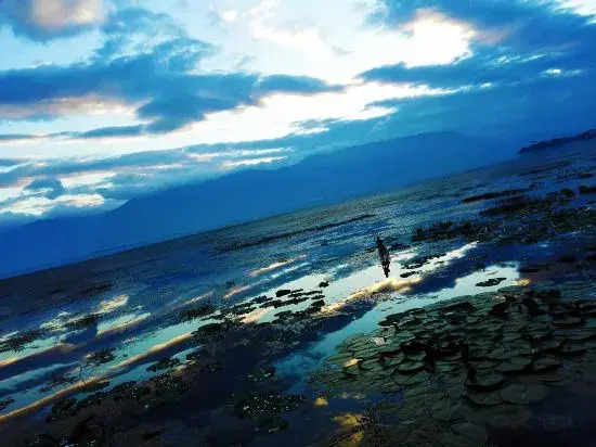lianhua  shuiyun  sea view  lnn