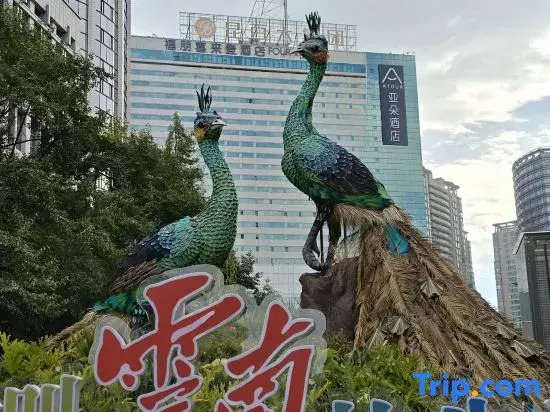 昆明金阆苑酒店 南屏步行街金马碧鸡坊店