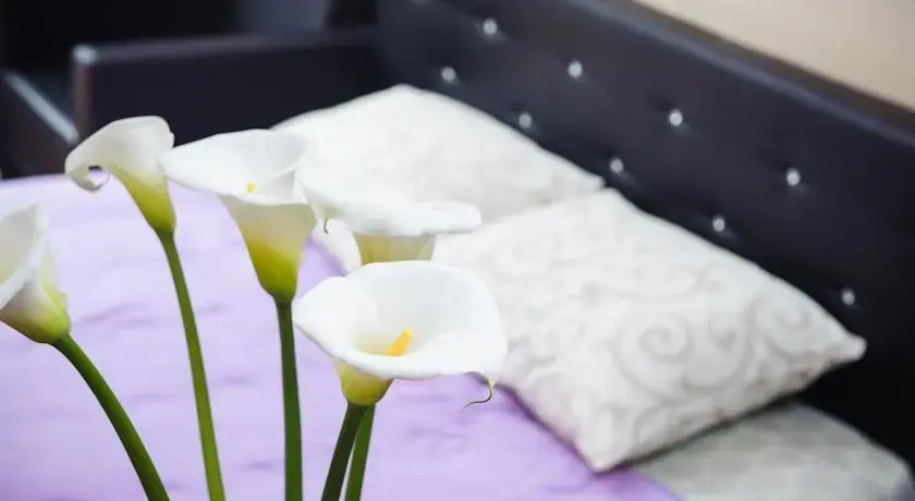 Bed & Breakfast Taurus Apartments