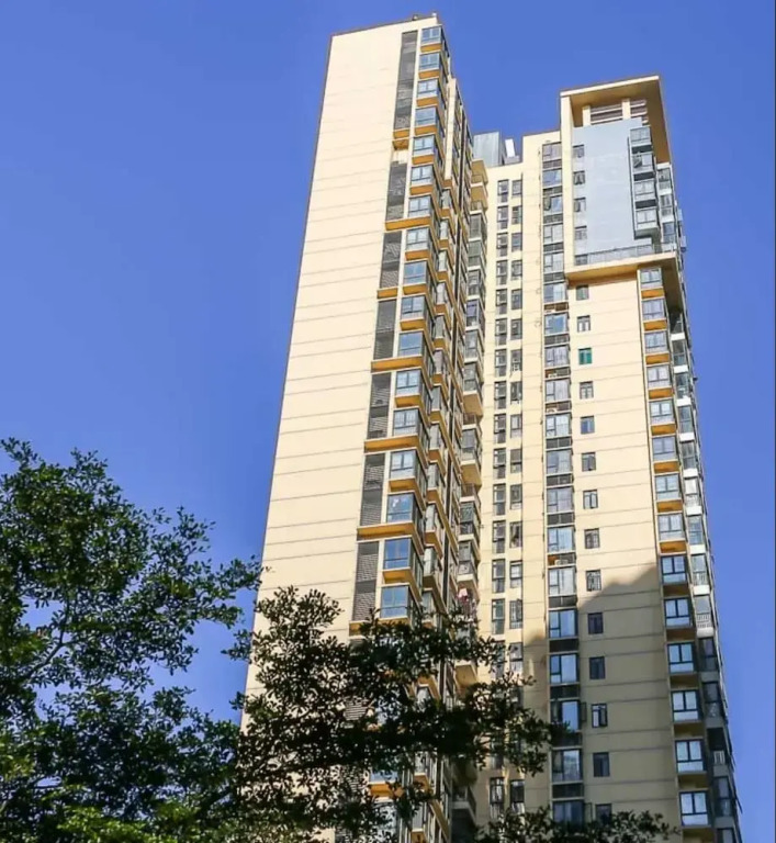 Locals Boutique Apartment Wanzai No.11