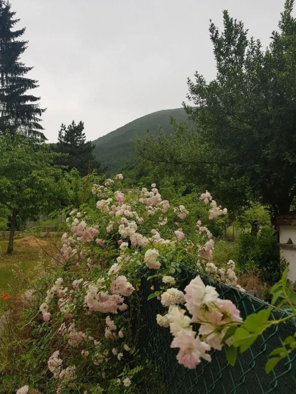 Note d'Acqua
