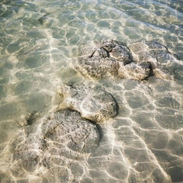 Hostalito Lahar