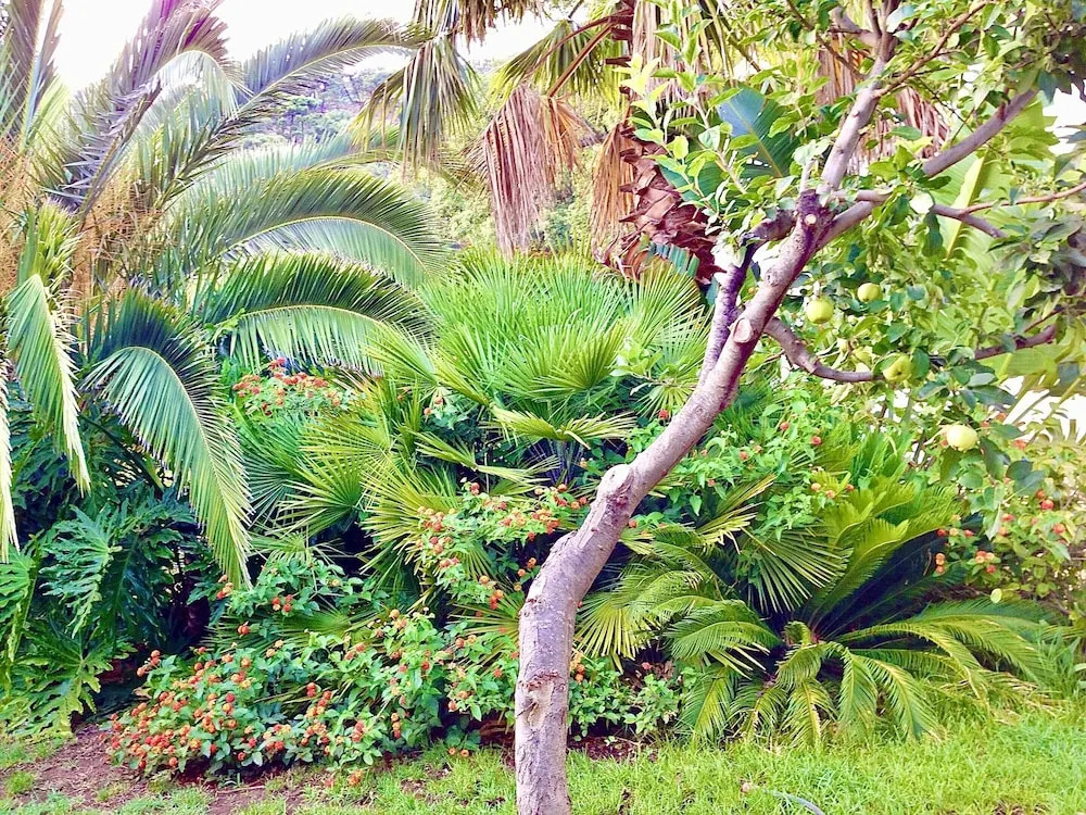 House With 2 Bedrooms in Genalguacil, Málaga, With Shared Pool, Enclosed Garden and Wifi Near the Beach