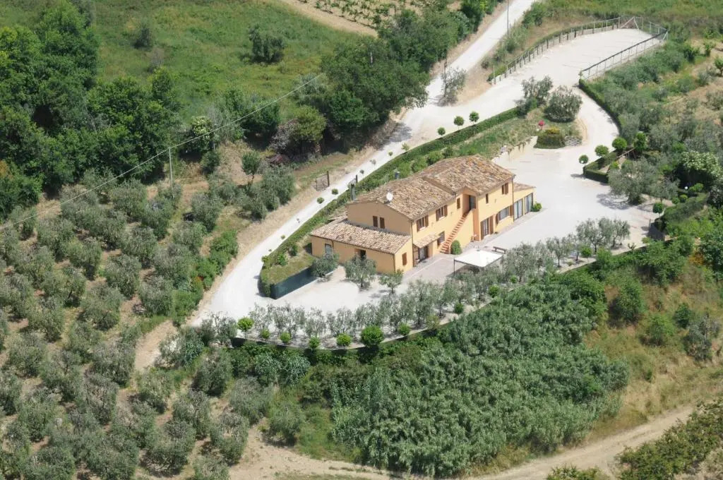 Acquarello