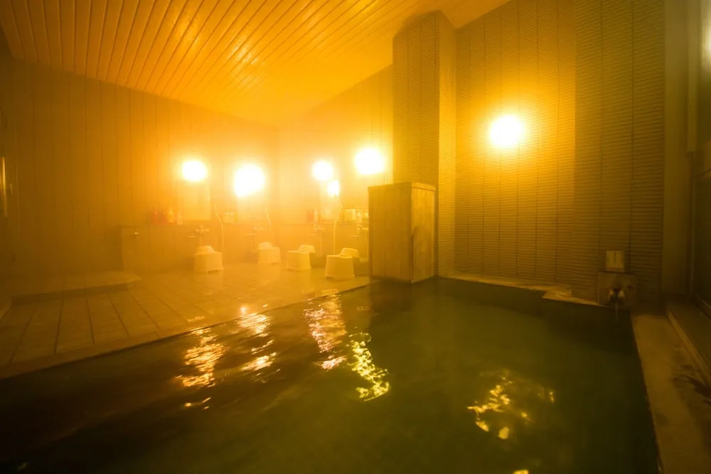 Sake Hotel Tamakiya