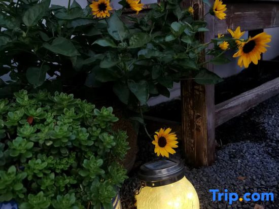 Xiamen Dayin Homestay (Gaoqi Airport Jimei Xuecun Branch)