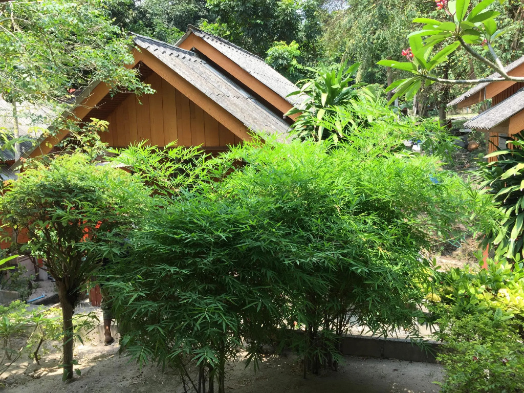 Save Bungalow Koh Tao