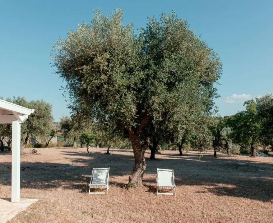 Casa Lavanda Antica Struttura Riconvertita in Dimora di Lusso
