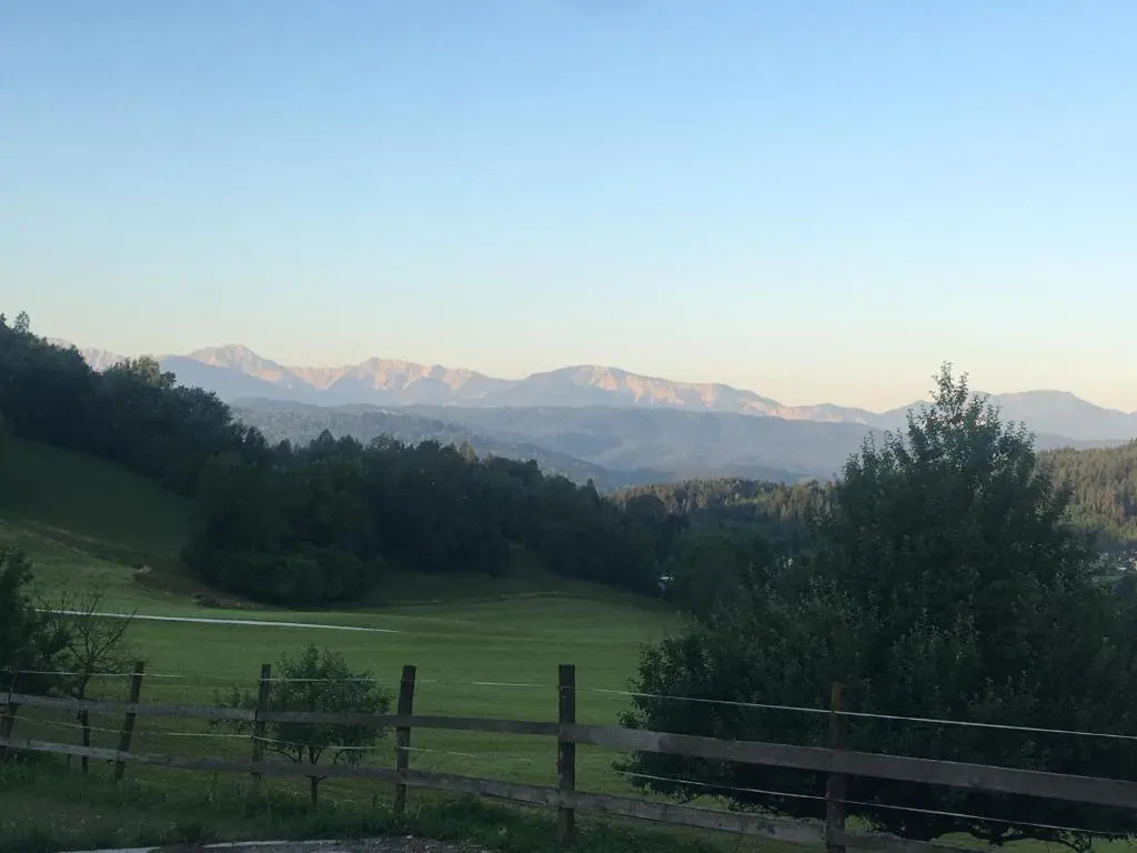 Kollehof