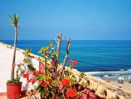 Romantic Palace Beach Apartments
