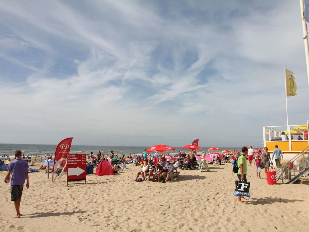 Stunning Villa in Egmond aan Zee near Sea