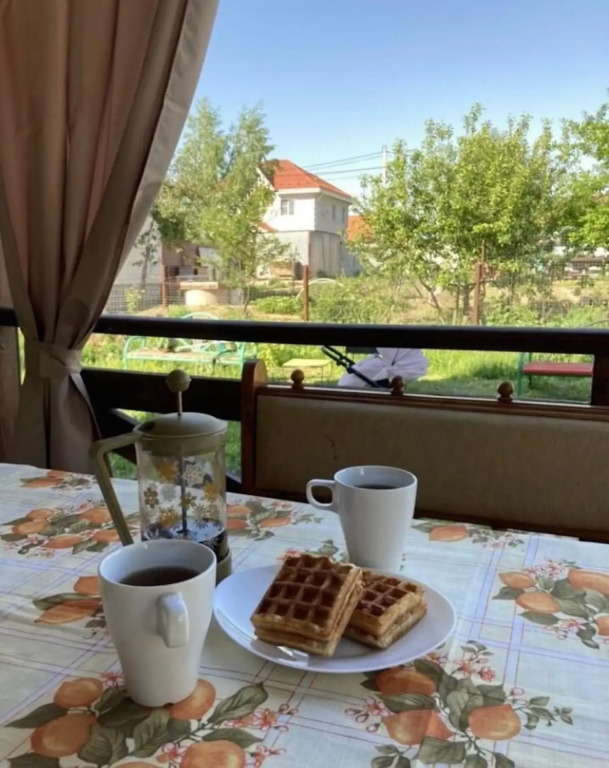 Дом в селе Константиново