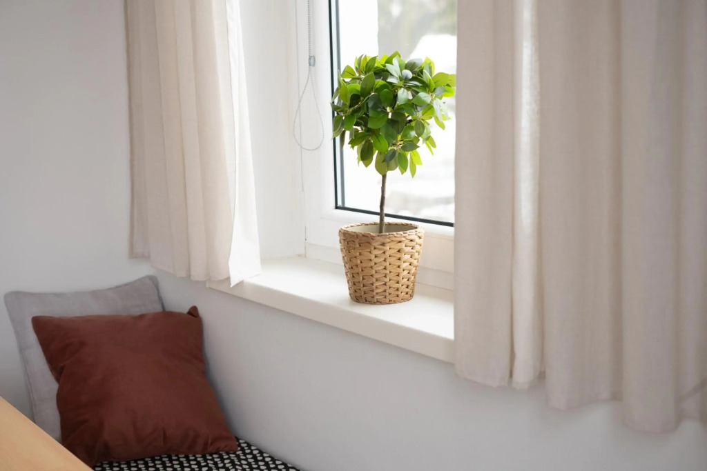 Hygge House Bled