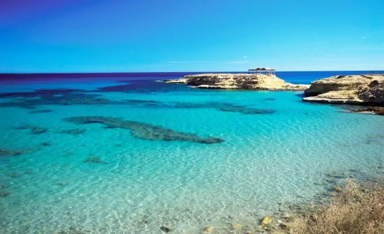 Camí de Fondo 2