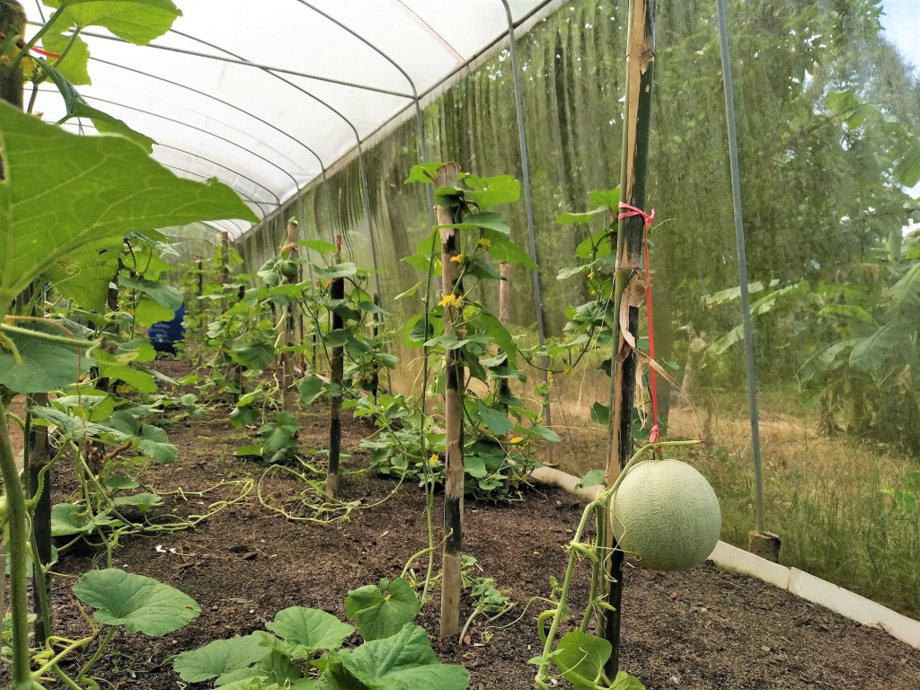 Somphoch Garden