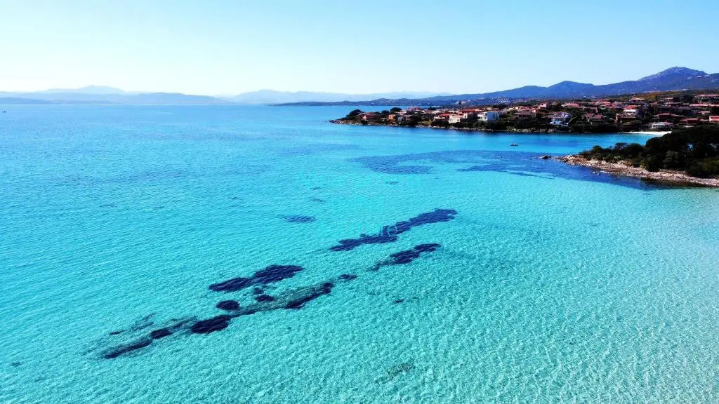 Appartamento delfino blu