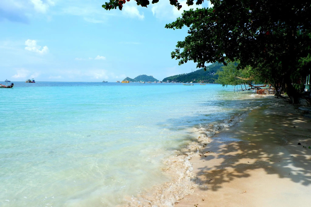 Island Dive Club
