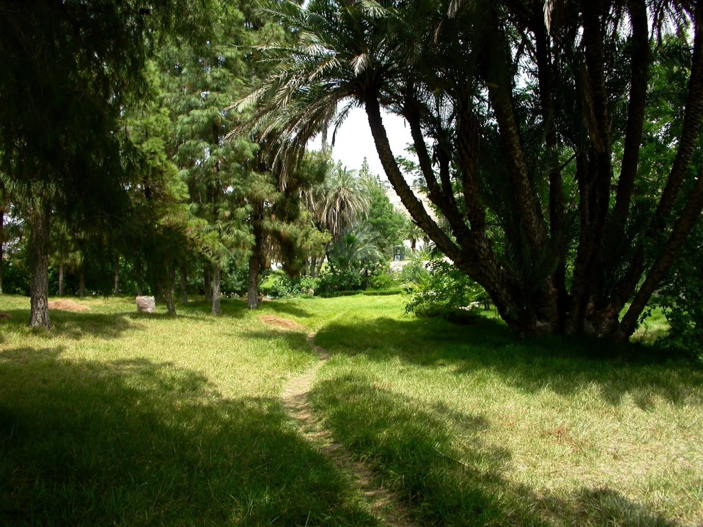 Sidi Harazem
