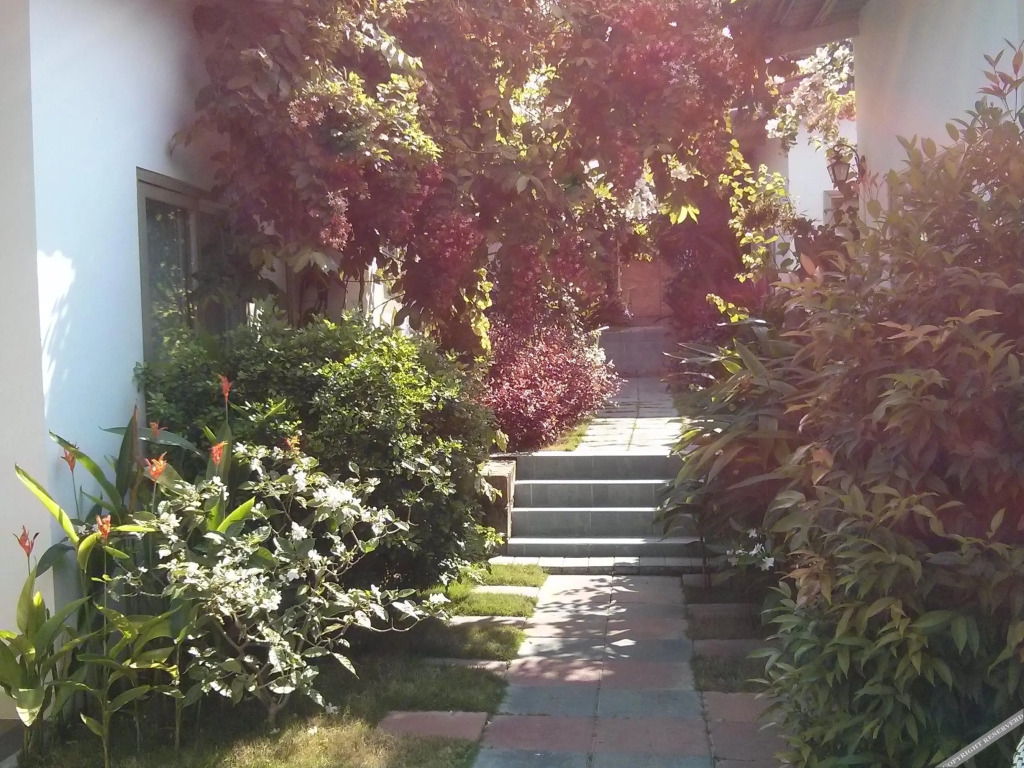 Sunshine Bungalow