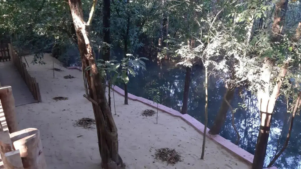 Park Veredas, Flat 513 - Fantástico!!!