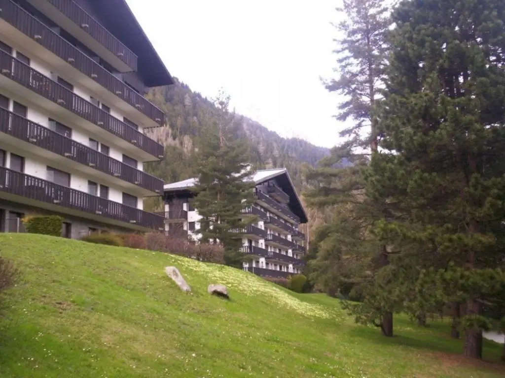 Appartement Chamonix-Mont-Blanc, 1 pièce, 3 personnes - FR-1-517-27