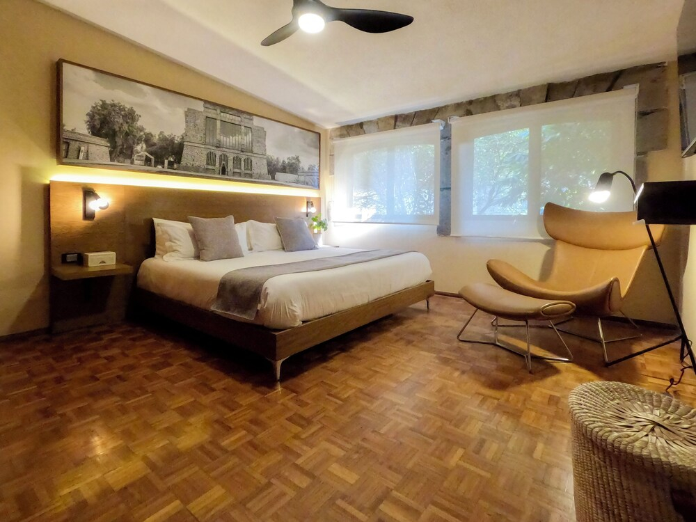 Mi Zona Lodging Coyoacán