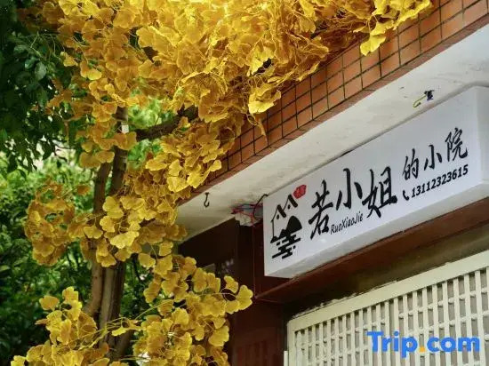 Zhuhai Qi'ao Island Miss Ruo's Courtyard Homestay (Tianhe Street)